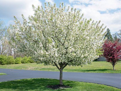 Untitled design 2024 09 26T204308.533