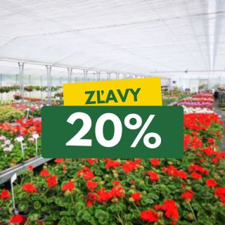 🌸 Všetky letničky z našej vlastnej produkcie teraz so zľavou -20%! 🌸 Vyberte si z bohatej ponuky kvalitných letničiek z...