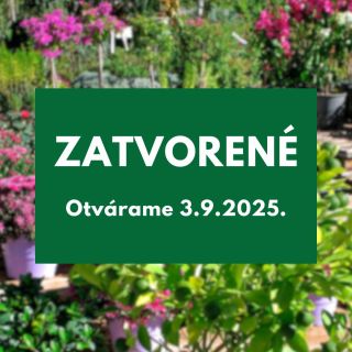 Milí zákazníci, naše záhradné centrum bude od 25.8.2025 dočasne zatvorené. Opäť pre vás otvoríme 3.9.2025. Ďakujeme za...