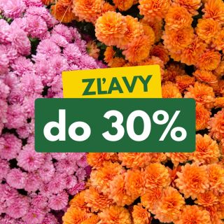 🍁 Jesenné zľavy až do –30% 🍁 Pripravte terasu aj záhon na farebnú jeseň! Teraz nakúpite vybraný jesenný tovar so zľavami...